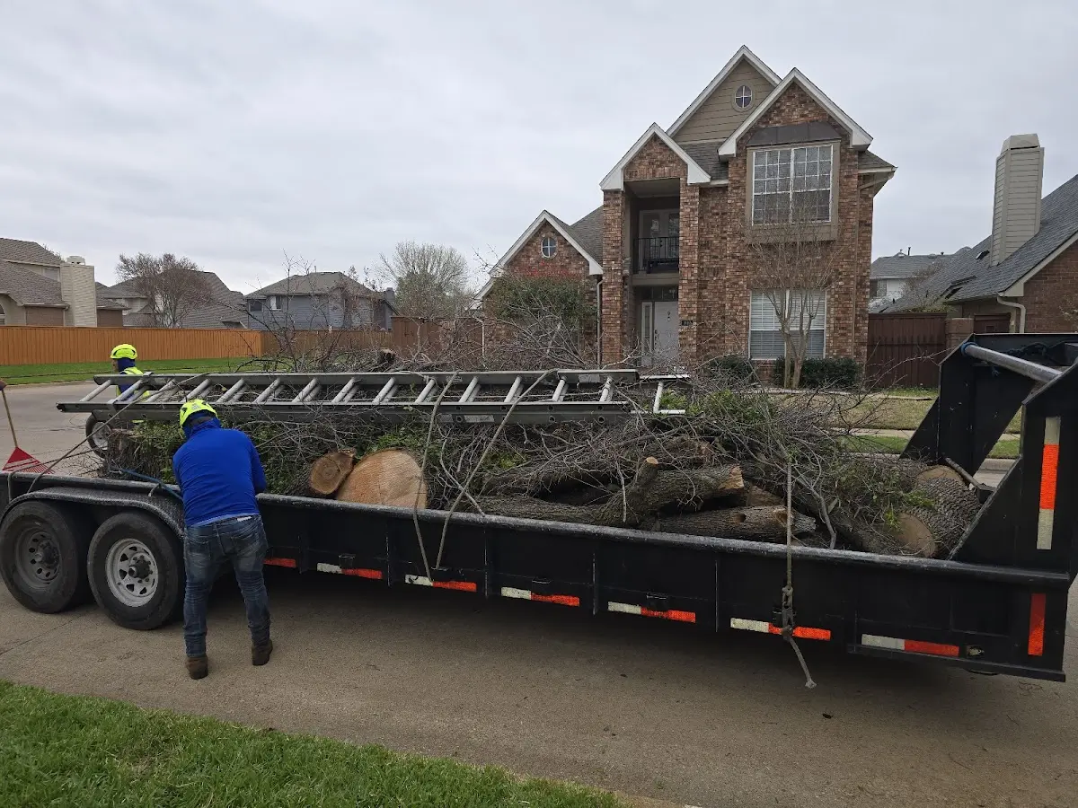 Expert Tree Fertilization with proper safety equipment in Lund